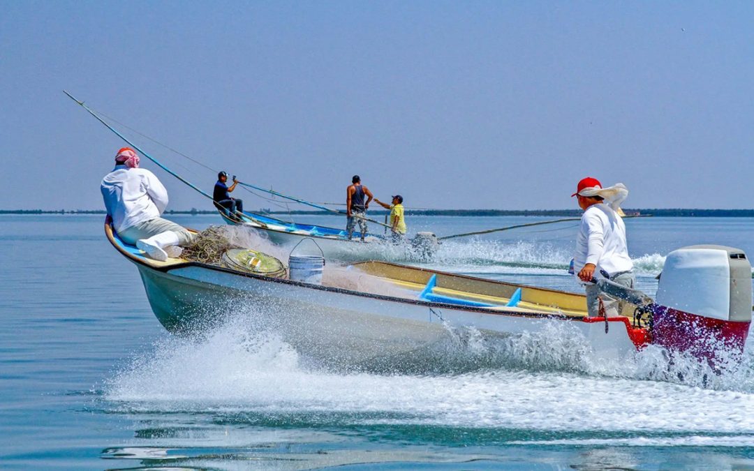 Si no hay ayuda a pescadores, se incrementará la captura furtiva e ilegal