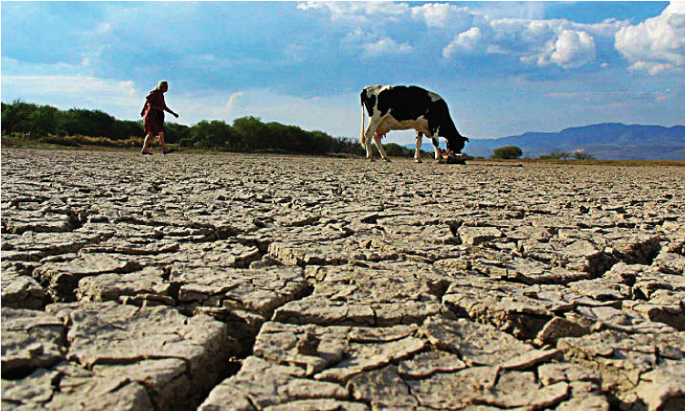 Se espera próximo estiaje menos agresivo que en 2024: UADY