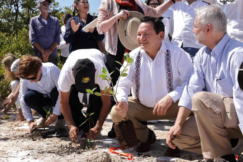 Arrancan Huacho y titular de Semarnat programa de Reforestación de Manglares