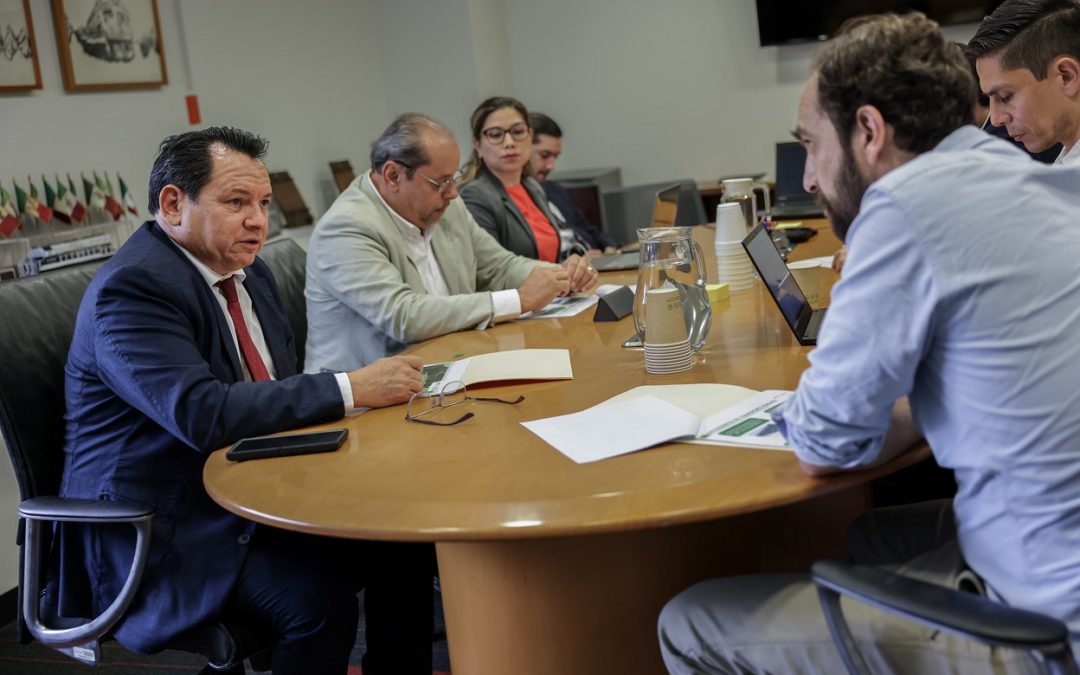 Apoyan expertos nacionales mejoras al sistema Va y Ven