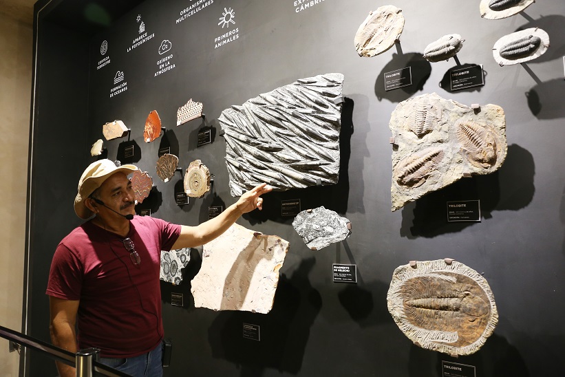 Museo del Meteorito y Casa Manzanero, guardianes de identidad cultural y conocimiento  