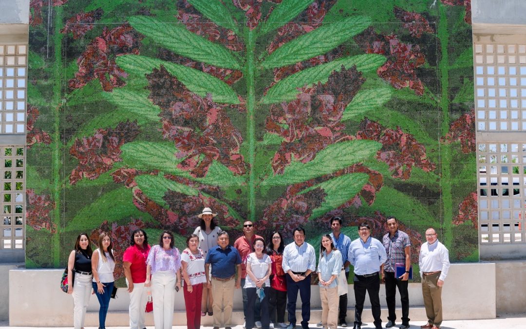 Educación superior gratuita y con modalidad híbrida para jóvenes de Yucatán