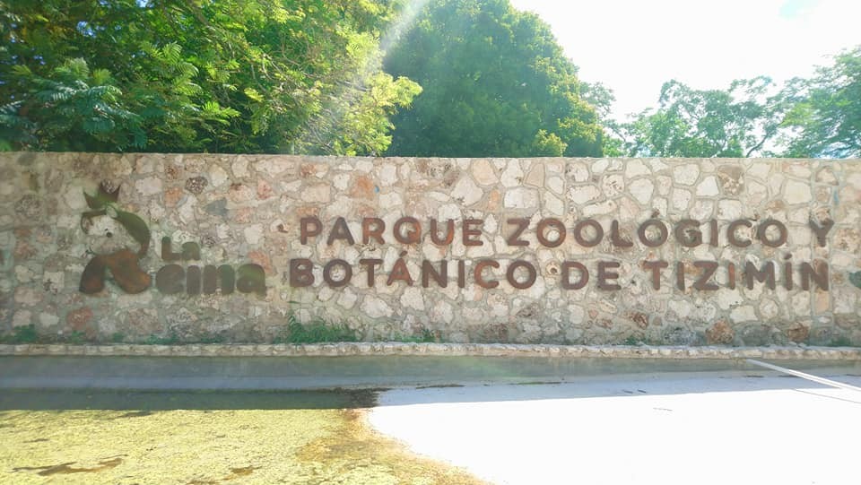 Registran nacimientos de animales en zoológico de Tizimín