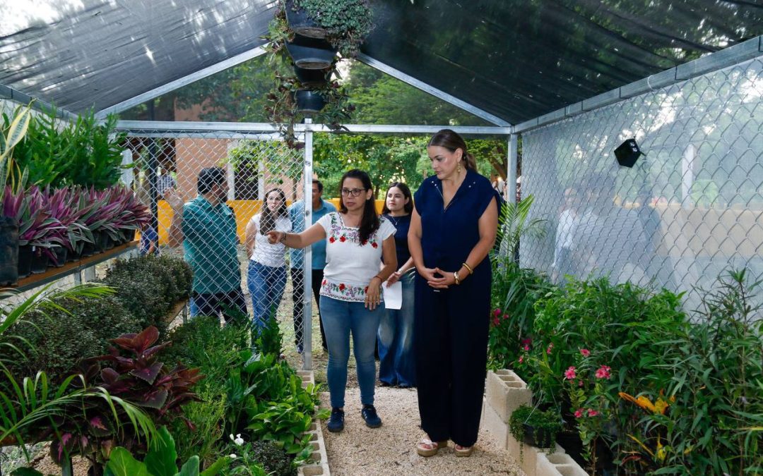 Promoverá la Reserva Ecológica Cuxtal la cultura ambiental en la Hacienda Anicabil