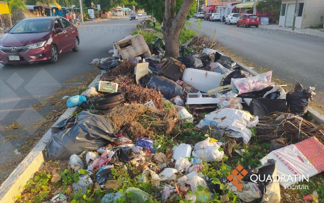 Cecilia Patrón presenta ante el cabildo actualización de multas por tirar basura en la calle