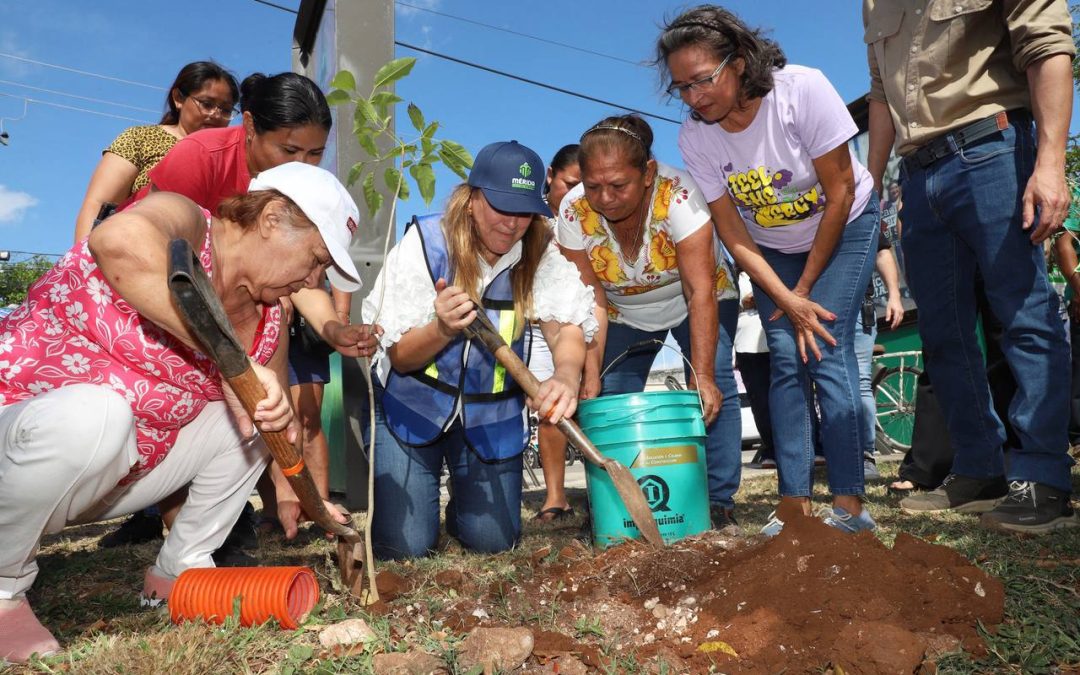 Pretende Ayuntamiento de Mérida sembrar 8,500 árboles