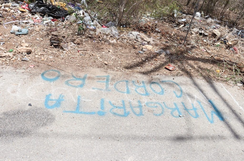 Alerta por desmonte y lotificación irregular en la Reserva Ecológica Cuxtal