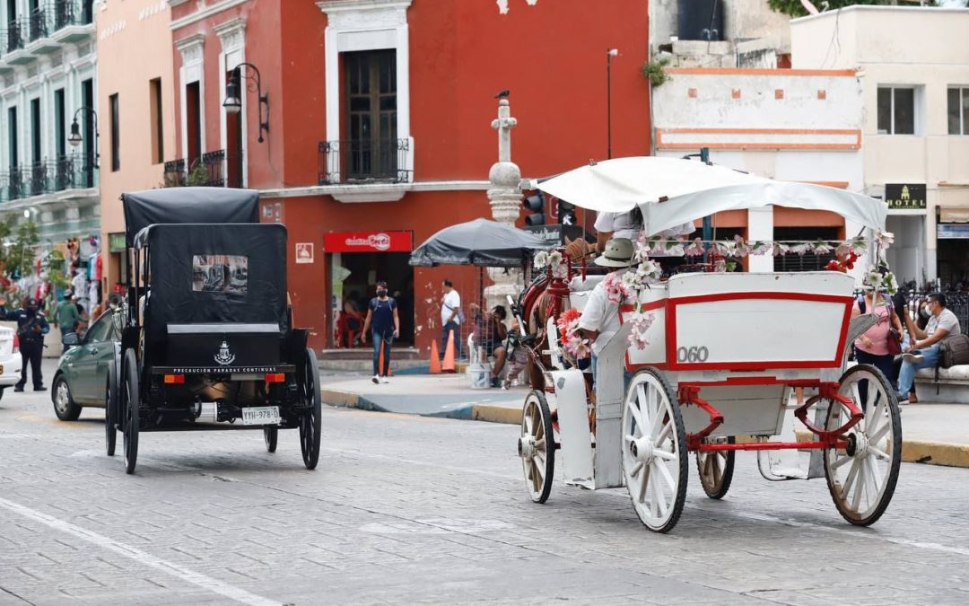 Buscan proteger a los caballos de las calesas en Mérida