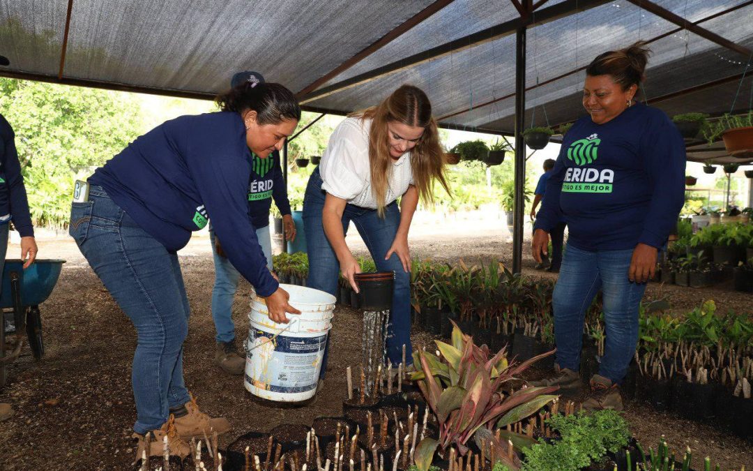 Invitan a los comercios a sumarse a la cruzada forestal 