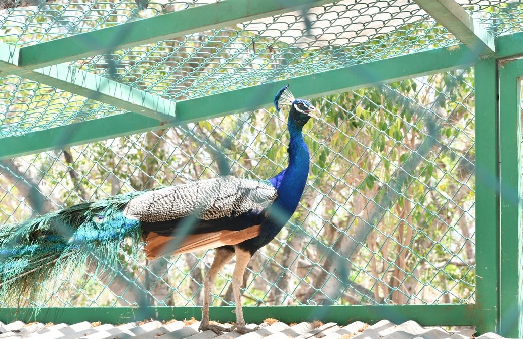 Invita Alcaldía de Campeche a visitar el Centro Ambiental Integral Municipal