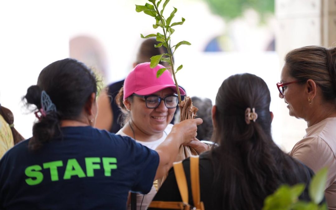 El programa “Una familia, un árbol” avanza con éxito: Cecilia Patrón