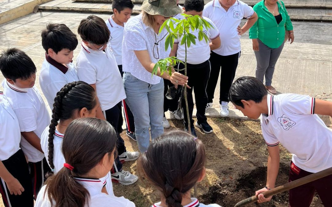 Alcaldía de Campeche planta árbol de ceiba en inmediaciones de escuela primaria Adolfo López Mateos