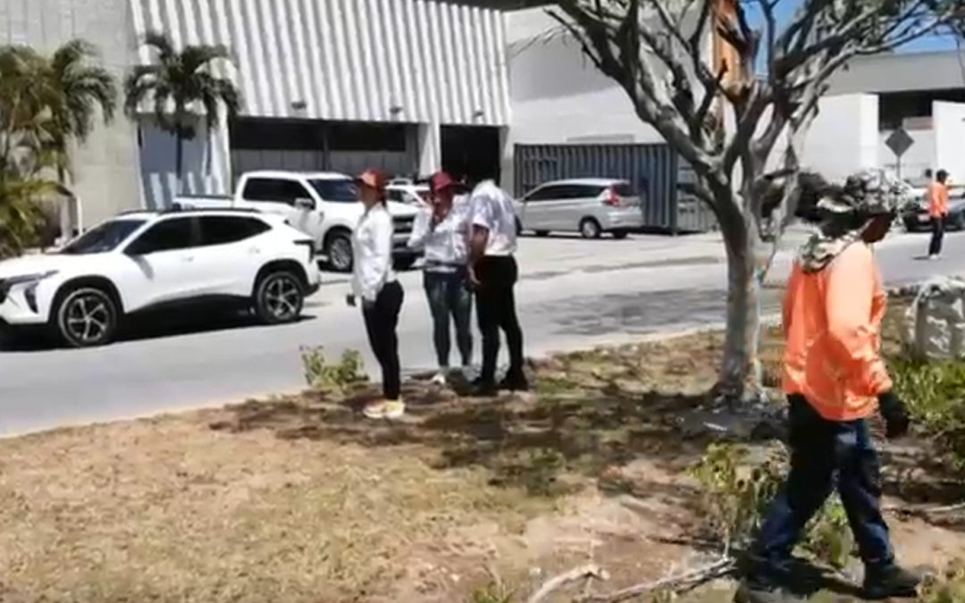 Supervisa Biby Rabelo poda de árboles por Plan de lluvias 2025