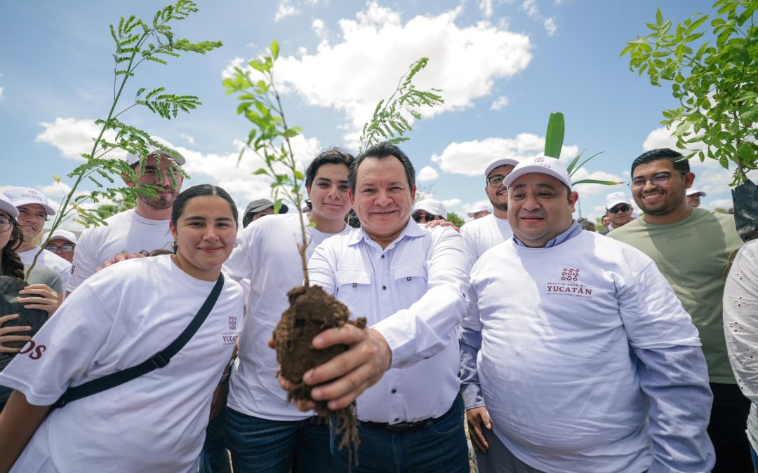 Sembrar 1.3 millones de árboles, meta del Gobierno del Estado