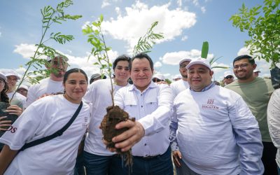 Sembrar 1.3 millones de árboles, meta del Gobierno del Estado