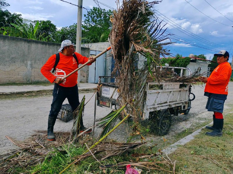 Alcaldía de Campeche ha dotado de Servicios Públicos a 109 puntos del Municipio
