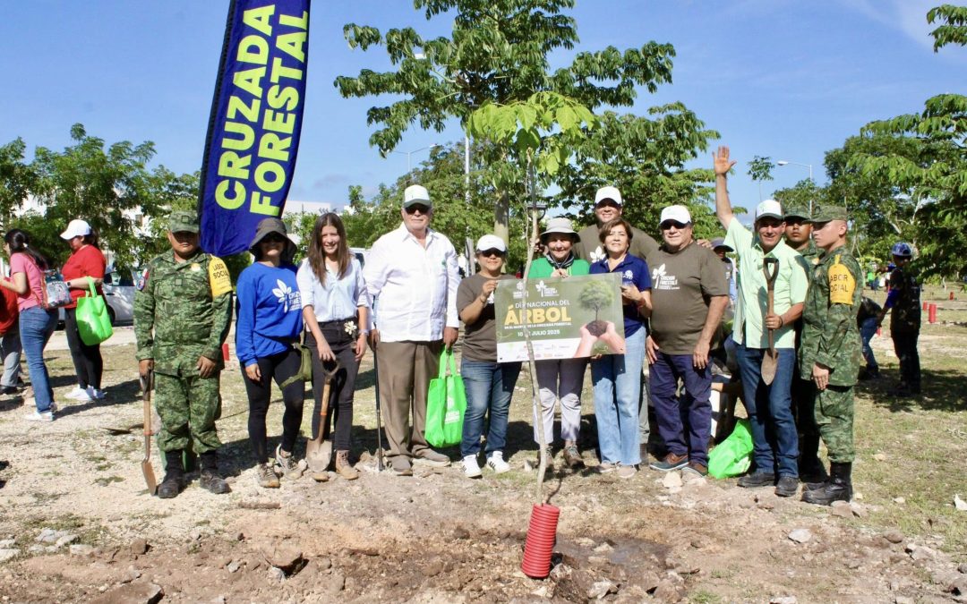 Sembrarán otros dos mil árboles, en Mérida 