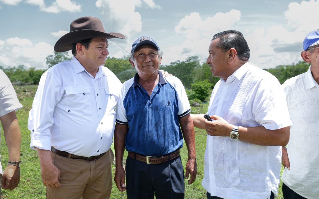 Tecnología con energía renovable, en el campo yucateco