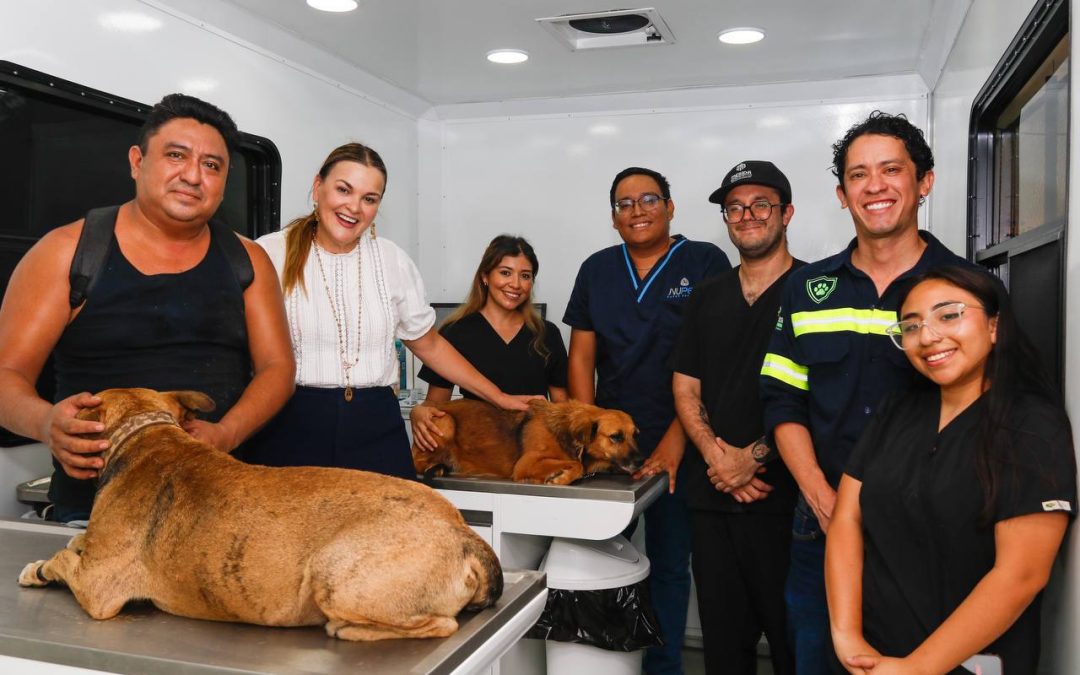 Esterilizarán gratuitamente a 600 mascotas en Mérida 