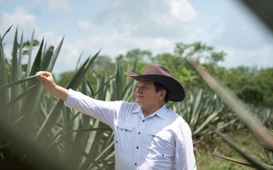 Destinan más de 3.8 MDP para el rescate de la actividad henequenera