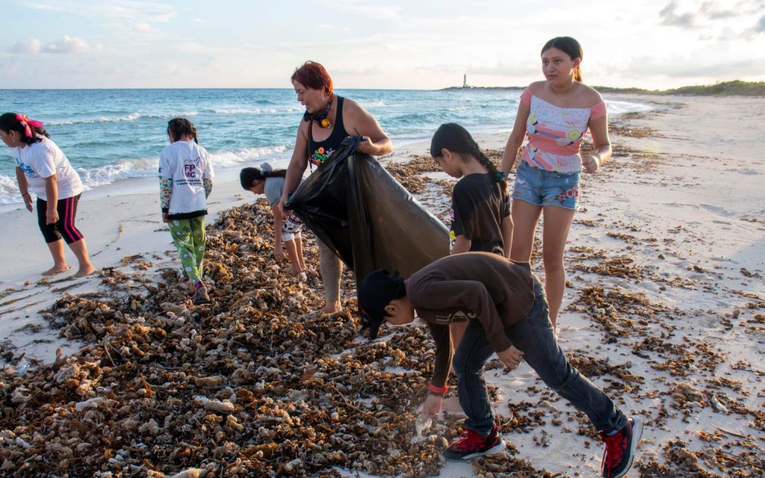 Pronostican que para el 2027 limpiarán todas las playas de Yucatán