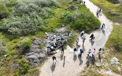 Suman esfuerzos por los manglares de Yucatán, gobierno y sociedad civil