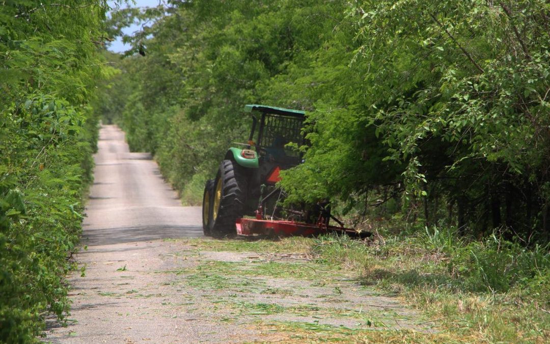Continúa limpieza de orillas de carreteras en Tizimín