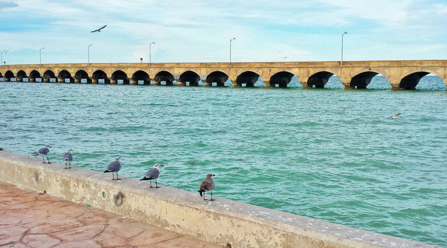 No hay marea roja en el mar de Yucatán, informó la Secretaría de Salud 