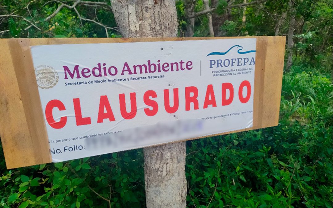 Clausuran predio en Tekax, ocupado por menonitas