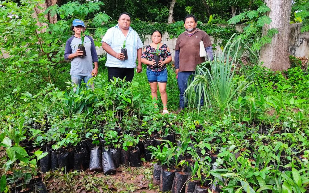 Impulsa Renacimiento Verde restauración ecológica y productiva en el sur