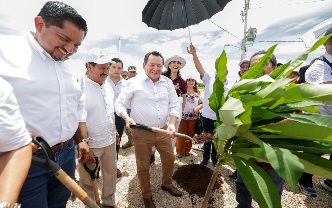 Siembran más de 5 mil árboles en Valladolid, con la estrategia Renacimiento Verde