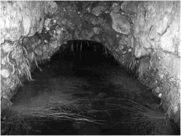 Cumple SMAPAC con normatividad sobre calidad de agua