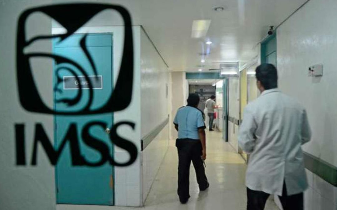 Trabajadores independientes pueden tener esquema de seguridad social integral en el IMSS