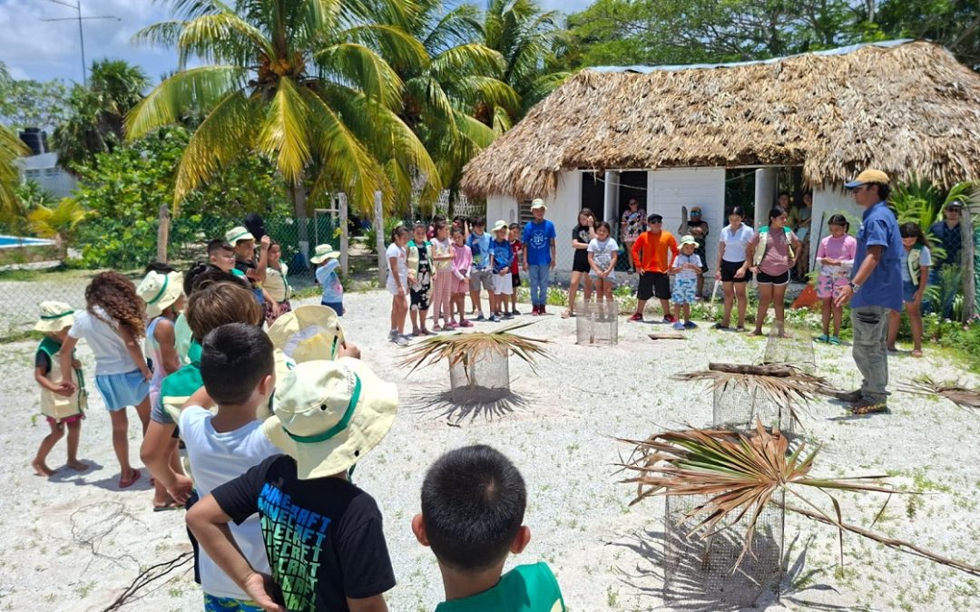 Promueven cuidado de tortugas marinas entre la infancia yucateca