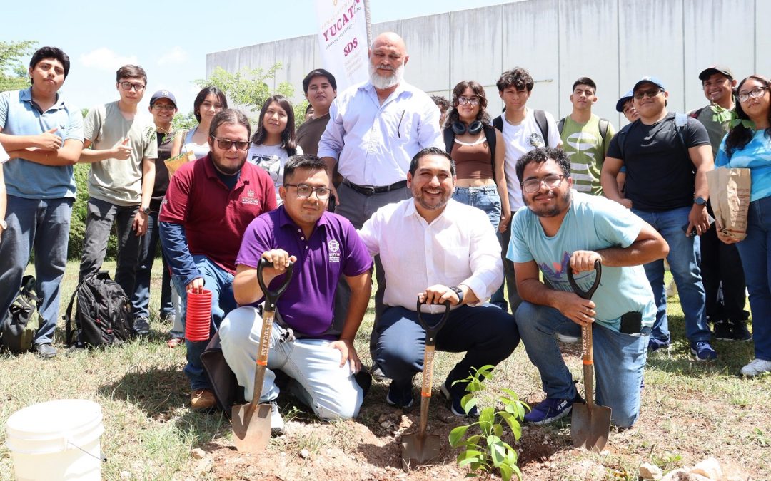 Se suman estudiantes de la UPY a jornada de reforestación
