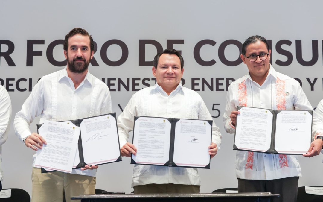 Bajar las tarifas de electricidad, objetivo de Foros de Consulta del Programa de Bienestar Energético