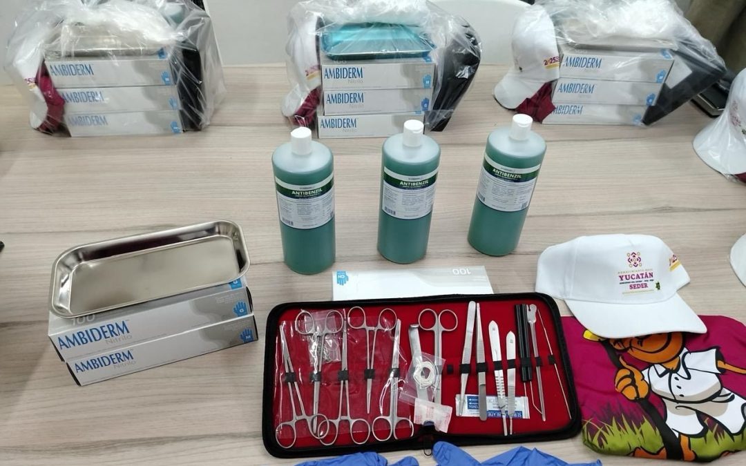 Intensifica Gobierno del Estado control del gusano barrenador