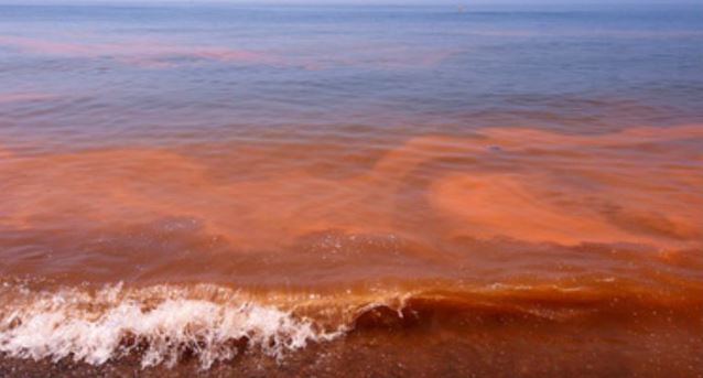 Hay optimismo en la última quincena de vacaciones, pese a la presencia de Marea Roja