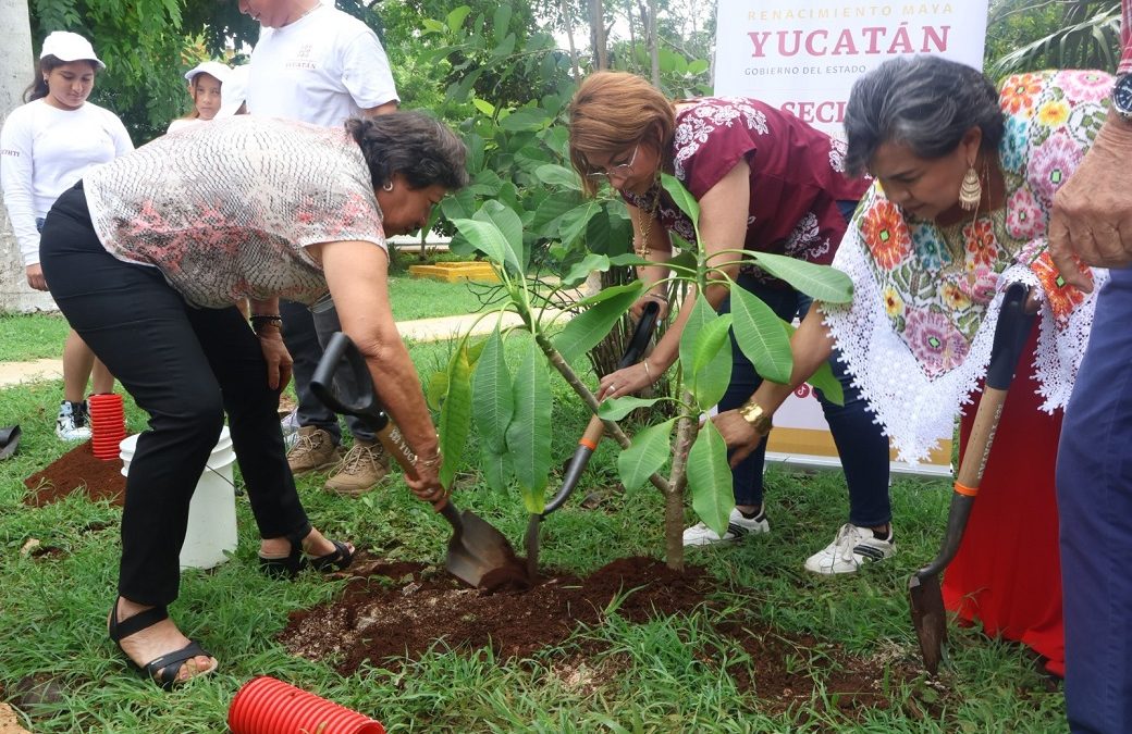 Reforestarán Circuito Colonias