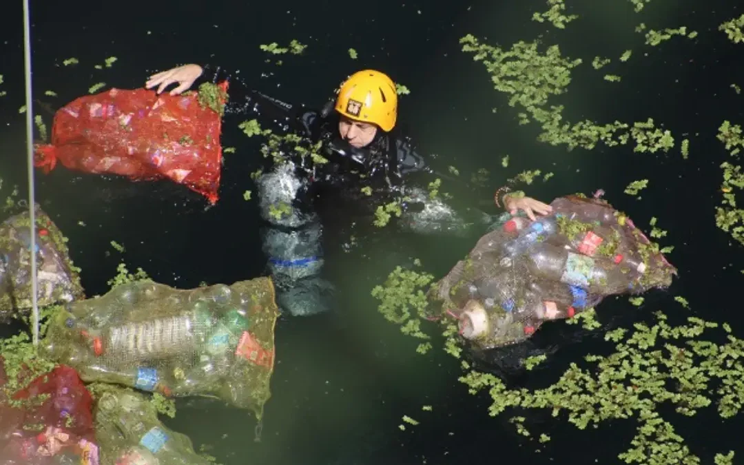 Buscan no solo recuperar playas, sino también cenotes