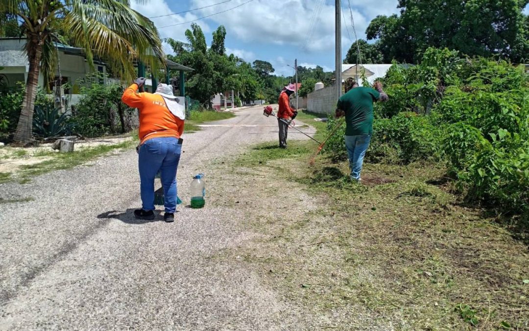 Recibe zona rural de Campeche brigadas municipales de Servicios Públicos