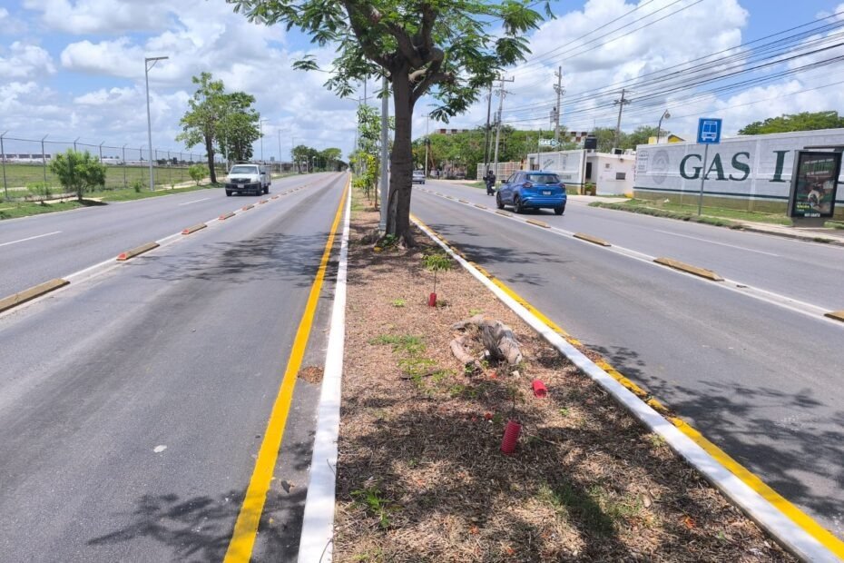 Regresará el transporte público al carril derecho en la Avenida Internacional 