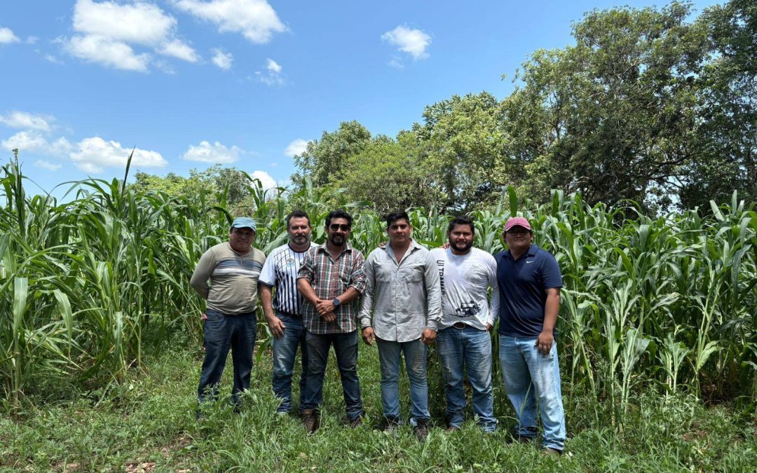 Reconocen contribución de ex alumnos del Tec de Tizimín