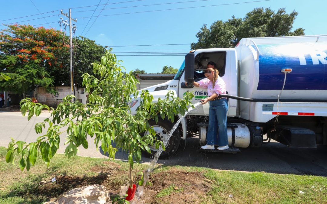 Reforestaron la colonia Francisco I. Madero en Mérida
