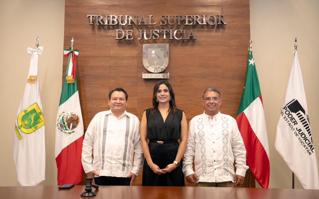 “No voy a declinar a la presidencia”, advirtió magistrada Erika Torres López