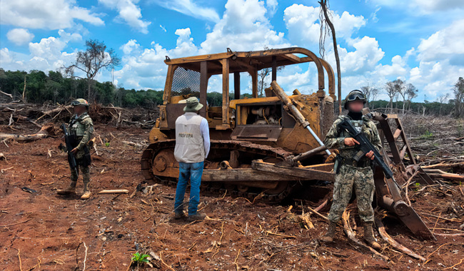 Clausura Profepa 17 predios en la Península de Yucatán, por afectaciones a la selva