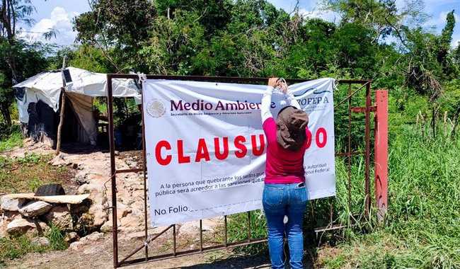 Clausura Profepa granja porcícola en Yucatán
