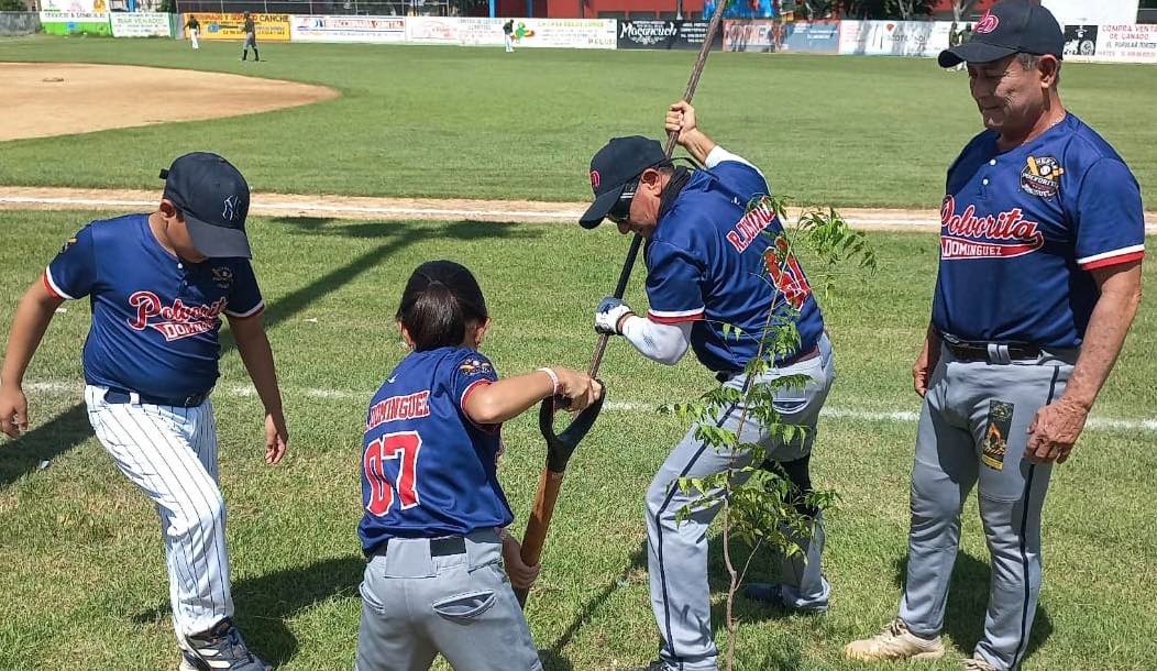 Reforestan deportistas campo de sóftbol de Tizimín