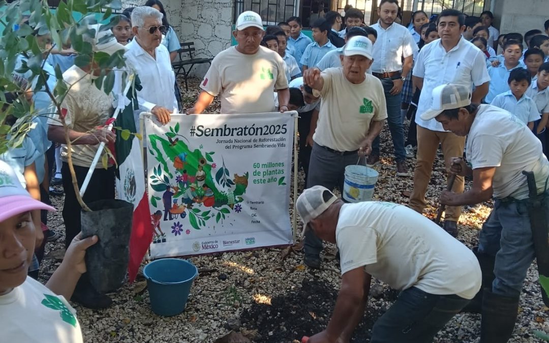 Reforestan escuela de Tizimín, con varias especies