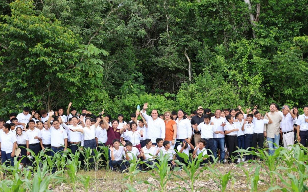 Inician trabajos de tendido eléctrico en Santa Rosa y Anexas